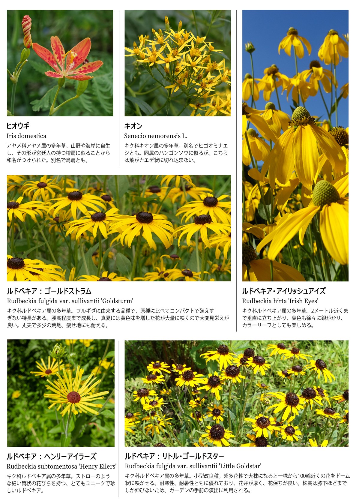 8月1ページ目